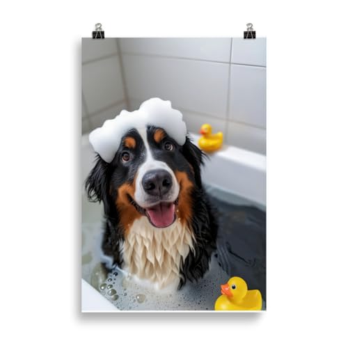 Generisch Hunde in der Badewanne - Berner Sennenhund Badezimmer-Bild, Klo-Poster, Deko fürs Badezimmer oder Gäste-WC, Lustig, Ungerahmt von Generisch