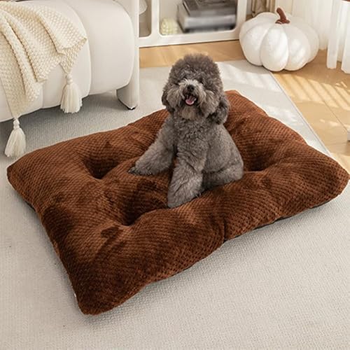Generisch Hundekissen Waschbar Hundeliege Outdoor, Hundebett Grosse Hunde, Rutschfester Hund Hundedecke, Superweich Haustier Sofakissen, Hundematte Hundematratze Haustierbett,Kaffee,40X30X12cm Generisch Hundekissen Waschbar Hundeliege Outdoor, Hundebett Grosse Hunde, Rutschfester Hund Hundedecke, Superweich Haustier Sofakissen, Hundematte Hundematratze Haustierbett,Kaffee,40X30X12cm von Generisch