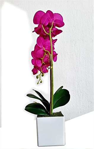 Generisch KOS Künstliche Orchidee 51 cm, Große Kunstblumen LILA, WEIß oder ROSA Farbe, Orchidee Künstliche Blumen Deko Kunstpflanze Kunstblume im Top (Lila) von Generisch
