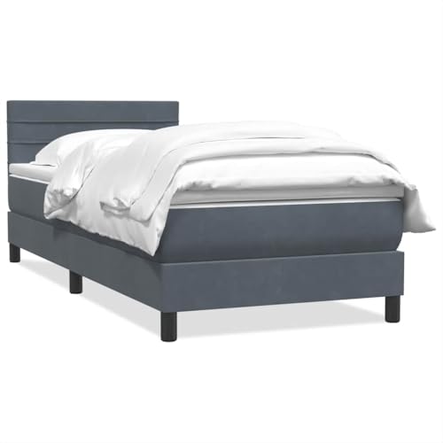 Generisch Kangmusi Boxspringbett mit Matratze Dunkelgrau 80x210 cm Samt, Grau 3316282 von Generisch