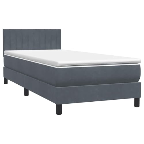 Generisch Kangmusi Boxspringbett mit Matratze Dunkelgrau 80x210 cm Samt, Grau 3316378 von Generisch