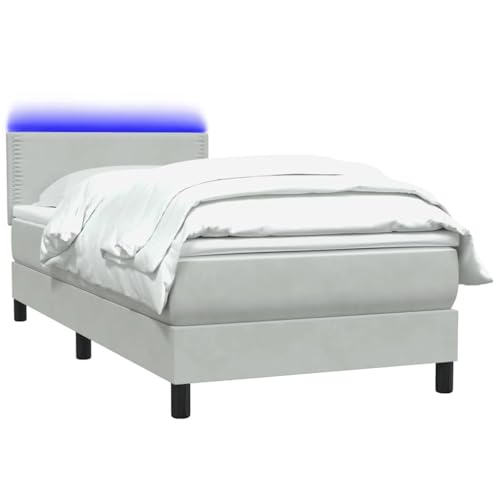 Generisch Kangmusi Boxspringbett mit Matratze Hellgrau 90x220 cm Samt, Grau 3316815 von Generisch