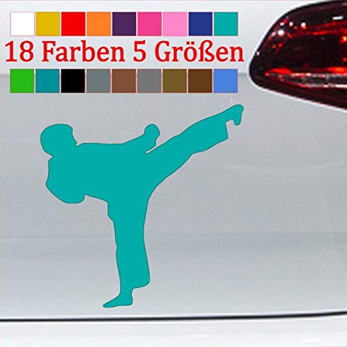 Generisch Kung Fu Sticker Auto Aufkleber Kampfsport Warrior Martial Arts Mural JDM 54-Türkis 6x6cm von Generisch