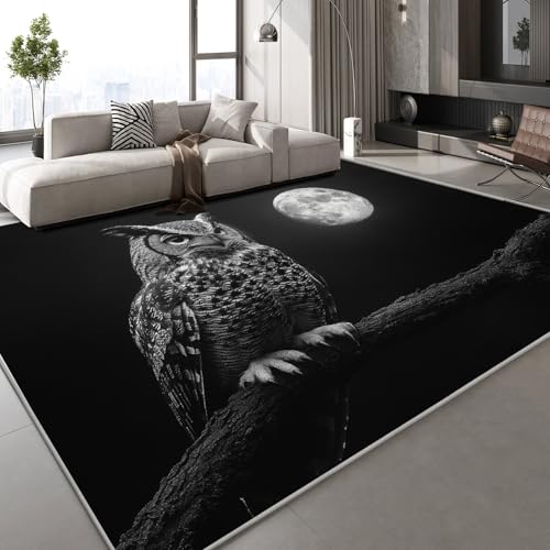 Generisch Kurzflor Teppich 3D Eule Mond Teppich Matten rutschfeste FußMatte Malerei Muster Kinder Spielteppiche FüR Schlafzimmer Flur Wohnzimmer Boden 150x210 cm Generisch Kurzflor Teppich 3D Eule Mond Teppich Matten rutschfeste FußMatte Malerei Muster Kinder Spielteppiche FüR Schlafzimmer Flur Wohnzimmer Boden 150x210 cm von Generisch