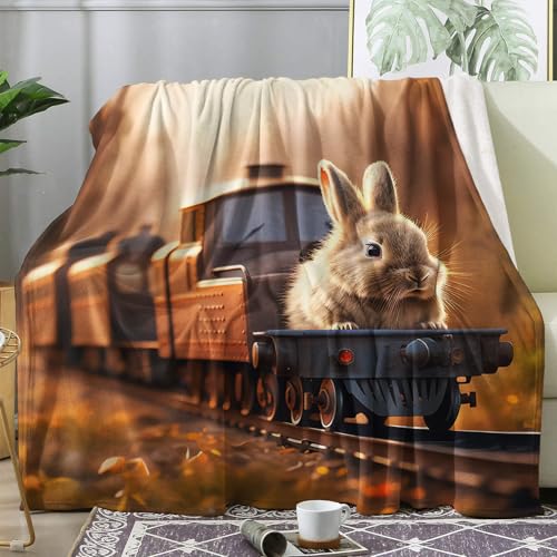 Generisch Kuscheldecke Kaninchen Motiv, Zug Süß Tier Decke 230x270 Riesig Groß, Fleecedecke Flauschig für Sofa Couch, Zimmer Deko & Geschenke, Sofadecken Kuschelig Weich (ZX180) von Generisch