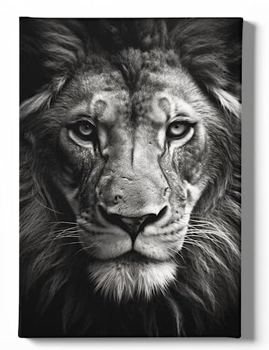 Generisch Löwe Leinwand Bild - 50x70 cm - Wall Art Canvas mit Tier Motiv auf 2cm Holzkeilrahmen - Löwe Schwarz Weiß von Generisch