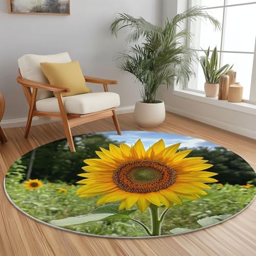 Generisch Moderner rutschfeste Teppich Rund, 90 x 90 cm Maschine Waschbar Teppich mit Blume Sonnenblume Feld Muster, Grün Kurzflor Teppiche Runder für Schlafzimmer Kinderzimmer Sofa Küche Fußmatte Generisch Moderner rutschfeste Teppich Rund, 90 x 90 cm Maschine Waschbar Teppich mit Blume Sonnenblume Feld Muster, Grün Kurzflor Teppiche Runder für Schlafzimmer Kinderzimmer Sofa Küche Fußmatte von Generisch