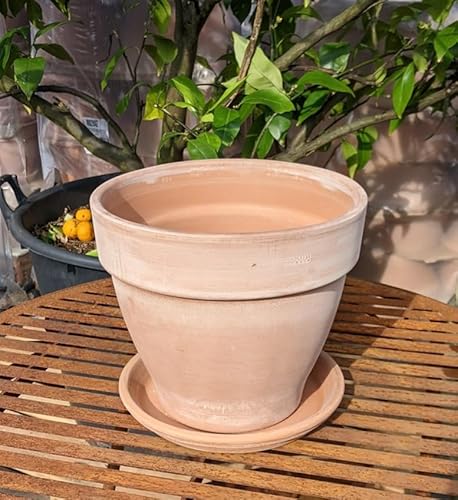 Generisch NEU !! 2 TLG. Set Orig. ital. Blumentopf ø 26 cm inkl. Teller aus Terracotta mit Unterteller Untersetzer Pflanztopf Garten Deko Mediterran Terrakotta Keramik Generisch NEU !! 2 TLG. Set Orig. ital. Blumentopf ø 26 cm inkl. Teller aus Terracotta mit Unterteller Untersetzer Pflanztopf Garten Deko Mediterran Terrakotta Keramik von Generisch