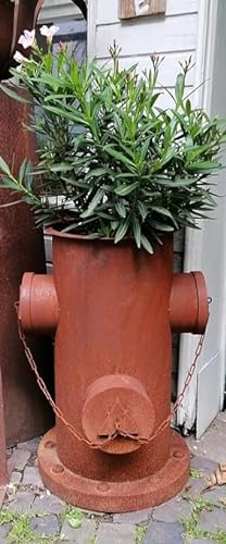 Generisch NEU !! Detailgetreuer Deko Hydrant ca. 65 cm hoch aus Metall in Edelrost für den Garten Vorgarten Bepflanzbar Deko Blumenkübel Pflanztopf von Generisch