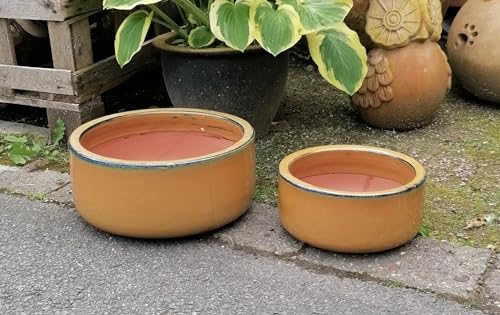 Generisch NEU !! Schönes Schlichtes 2er Set Pflanzschalen ø 21 + 30 cm aus Steinzug Honig-gelb/Ocker glasiert Pflanztopf Blumentopf Übertopf Garten Deko von Generisch