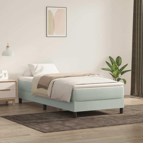 Generisch Pangshiyuan Boxspringbett mit Matratze Hellgrau 90x220 cm Samt,jiangboyue-3315951 von Generisch