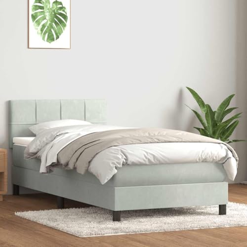 Generisch Pangshiyuan Boxspringbett mit Matratze Hellgrau 90x220 cm Samt,jiangboyue-3316239 von Generisch