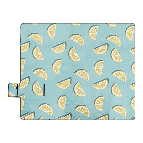 Generisch Picknickmatte | wasserdichte Outdoordecke - 200x200cm Robuste rutschfeste Matte Mit Tragegriff Für Garten Pool Musikfestival Strandurlaub Terrasse Entspannung Wandern von Generisch