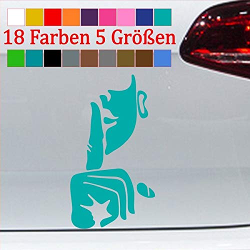 Generisch Psst leise Aufkleber Bitte Nicht stören Sticker leise sprechen Ruhe Fun 54-Türkis 14x8cm von Generisch