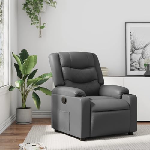 Generisch Relaxsessel Grau Kunstleder,jiangboyue-374122 von Generisch