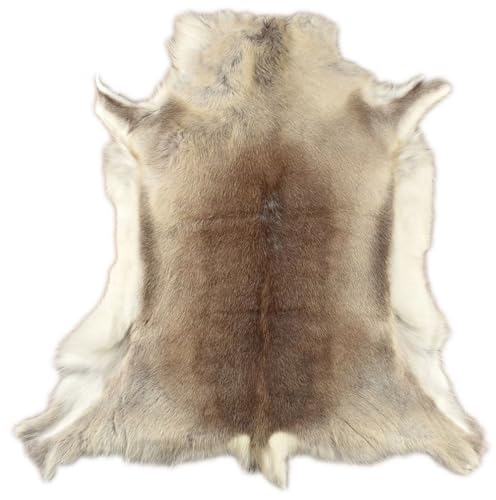 generisch Rentier Fell HELLGRAU BEIGE ca. 120 x 100 cm RENTIERFELL AUS NORWEGEN DEKO Fell VON KUHFELLE ONLINE generisch Rentier Fell HELLGRAU BEIGE ca. 120 x 100 cm RENTIERFELL AUS NORWEGEN DEKO Fell VON KUHFELLE ONLINE von generisch