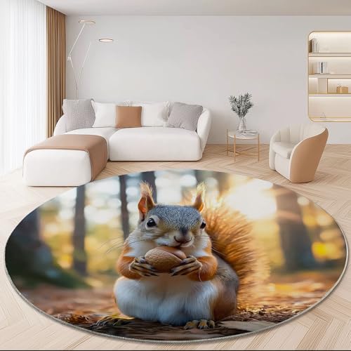 Generisch Runder Teppich 100 cm Wohnzimmer Waschbar, Kurzflor Weich Teppich Natur Süße Eichhörnchen Motiv Antibakterieller Faltbar rutschfest Schlafzimmer Kinderzimmer Wohnzimmer, Braun Generisch Runder Teppich 100 cm Wohnzimmer Waschbar, Kurzflor Weich Teppich Natur Süße Eichhörnchen Motiv Antibakterieller Faltbar rutschfest Schlafzimmer Kinderzimmer Wohnzimmer, Braun von Generisch