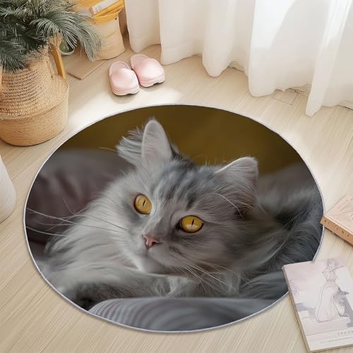 Generisch Runder Teppich Moderne Langhaarkatze Muster Waschbar rutschfest, Kurzflor Teppich Wohnzimmer Weich für Schlafzimmer Esszimmer Küche Flur Innen Rund 100 cm Silber von Generisch