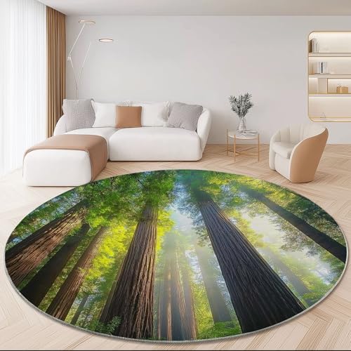 Generisch Runder Teppich Natur Dschungel Sonnenschein Muster 100 cm, Waschbar Braun Grün Kurzflor rutschfest Weich Flanell Teppiche - für Wohnzimmer Schlafzimmer Esszimmer Kinderzimmer Flur von Generisch