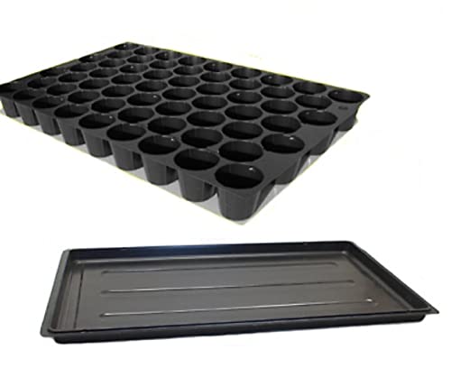 Generisch Set: 5 x Anzuchtplatte Topfplatte 60 Töpfe Pflanzen Aussaat Multitopf Multitopfpalette + 5X Untersetzer von Generisch