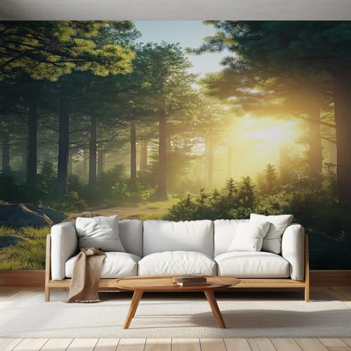 Generisch Tapete Baum Sonnenuntergang Wohnzimmer Schlafzimmer, Fototapete Sonnenaufgang Natur Landschaft Wand Deko, Wallpaper, Wandtapete, Mustertapete, Vliestapete, 368 x 254 cm &MA242 von Generisch