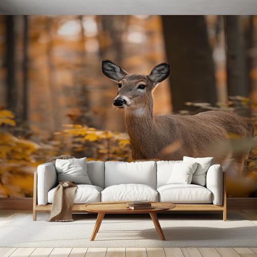 Generisch Tapete Reh Wohnzimmer Schlafzimmer, Fototapete Waldtiere Safari Tiere Wand Deko, Wallpaper, Wandtapete, Mustertapete, Vliestapete, 450 x 315 cm &ZC1 Generisch Tapete Reh Wohnzimmer Schlafzimmer, Fototapete Waldtiere Safari Tiere Wand Deko, Wallpaper, Wandtapete, Mustertapete, Vliestapete, 450 x 315 cm &ZC1 von Generisch