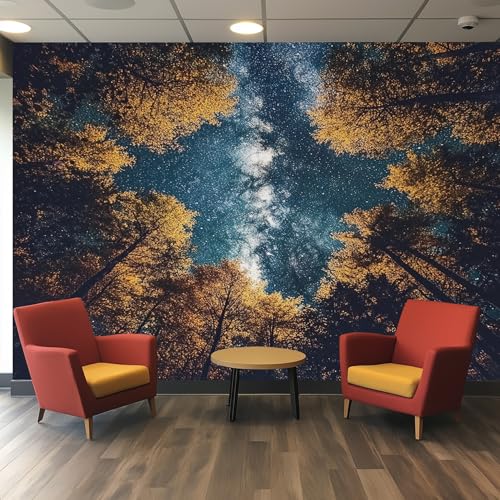 Generisch Tapete Wald Sternenhimmel - Fototapete Nachthimmel Milchstraße Baum Natur Landschaft Muster - Wohnzimmer Schlafzimmer Deko - Wandtapete - Wanddeko - Motivtapeten - 350x256 J238 Generisch Tapete Wald Sternenhimmel - Fototapete Nachthimmel Milchstraße Baum Natur Landschaft Muster - Wohnzimmer Schlafzimmer Deko - Wandtapete - Wanddeko - Motivtapeten - 350x256 J238 von Generisch