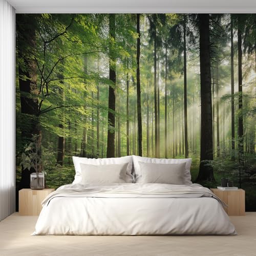 Generisch Tapete Wald Wohnzimmer Schlafzimmer, Fototapete Kiefern Natur Landschaft Wand Deko, Wallpaper, Wandtapete, Mustertapete, Vliestapete, 500 x 280 cm C&KF1 Generisch Tapete Wald Wohnzimmer Schlafzimmer, Fototapete Kiefern Natur Landschaft Wand Deko, Wallpaper, Wandtapete, Mustertapete, Vliestapete, 500 x 280 cm C&KF1 von Generisch