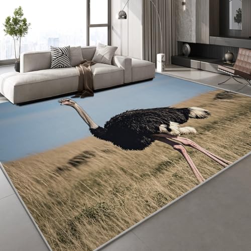 Generisch Teppich Schlafzimmer 150x210 cm Strauß Tier Kinderteppich Dekoration Carpets Tropisch Grasland Teenager Kurzflor Flanell Teppiche rutschfeste Spielteppiche für Schlafzimmer Wohnzimmer Generisch Teppich Schlafzimmer 150x210 cm Strauß Tier Kinderteppich Dekoration Carpets Tropisch Grasland Teenager Kurzflor Flanell Teppiche rutschfeste Spielteppiche für Schlafzimmer Wohnzimmer von Generisch