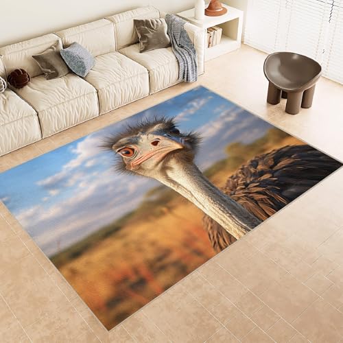 Generisch Teppich Schlafzimmer 160x230cm Steppenstrauß kinderteppich Jungen rutschfeste weiche Bodenmatte Mikrofaser waschbar dekorativ für Schlafzimmer Wohnzimmer Flur EL1465 Generisch Teppich Schlafzimmer 160x230cm Steppenstrauß kinderteppich Jungen rutschfeste weiche Bodenmatte Mikrofaser waschbar dekorativ für Schlafzimmer Wohnzimmer Flur EL1465 von Generisch