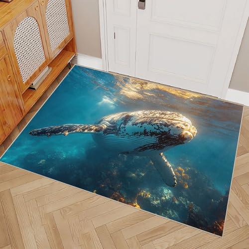 Generisch Teppich Schlafzimmer 60x120cm Wale Auf Dem Meeresboden badezimmerteppich Set Pflegeleichte waschbare Matte für Eingangsbereich, dekorativ und strapazierfähig ER25-29-1226 Generisch Teppich Schlafzimmer 60x120cm Wale Auf Dem Meeresboden badezimmerteppich Set Pflegeleichte waschbare Matte für Eingangsbereich, dekorativ und strapazierfähig ER25-29-1226 von Generisch