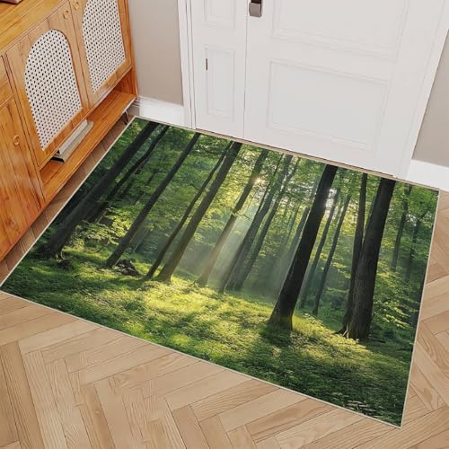 Generisch Teppich Schlafzimmer 60x90cm Wunderschöne Landschaft Teppich waschbar in Waschmaschine Waschbarer Flurläufer mit abstraktem Muster, rutschfest und für alle Böden geeignet ER25-29-1044 von Generisch