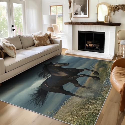 Generisch Teppich Schwarzes Pferd, 160x220, Wohnzimmer Schlafzimmer, Tier Motiv Design Zimmer Deko, Waschbar, rutschfest, Kurzflor, Weich von Generisch