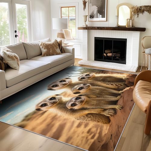 Generisch Teppich Süßes Erdmännchen, 200x200, Wohnzimmer Schlafzimmer, Wüste Tier Motiv Design Zimmer Deko, Waschbar, rutschfest, Kurzflor, Weich von Generisch