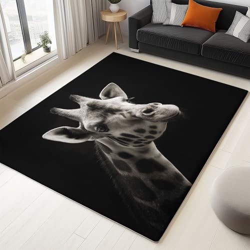 Generisch Teppich Tier HD Giraffe Porträt für Teenager Mädchen Kurzflor Teppiche, Schlafzimmer Wohnzimmer Innenmatte - Waschbar Schwarz Weiß rutschfeste Matte 180x240 cm Krabbelmatte für Kinder Generisch Teppich Tier HD Giraffe Porträt für Teenager Mädchen Kurzflor Teppiche, Schlafzimmer Wohnzimmer Innenmatte - Waschbar Schwarz Weiß rutschfeste Matte 180x240 cm Krabbelmatte für Kinder von Generisch