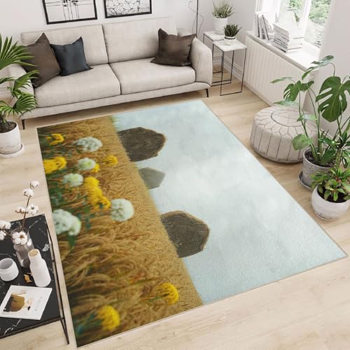 Generisch Teppich Wohnzimmer 160x230cm Bauernhof Teppich waschbar Waschbarer Wohnzimmerläufer mit skandinavischem Muster, langlebig, weich und maschinenwaschbar ER25-29-581 von Generisch