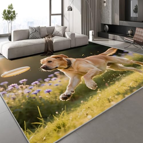 Generisch Teppich Wohnzimmer 50x80 cm Hund Tier 3D Druck Rasen Sport Muster Teppich Kaschmirimitat Anti Rutsch Leicht zu reinigen Waschbare Rückseite für Wohn Arbeitsbereiche,Mietwohnungen Generisch Teppich Wohnzimmer 50x80 cm Hund Tier 3D Druck Rasen Sport Muster Teppich Kaschmirimitat Anti Rutsch Leicht zu reinigen Waschbare Rückseite für Wohn Arbeitsbereiche,Mietwohnungen von Generisch