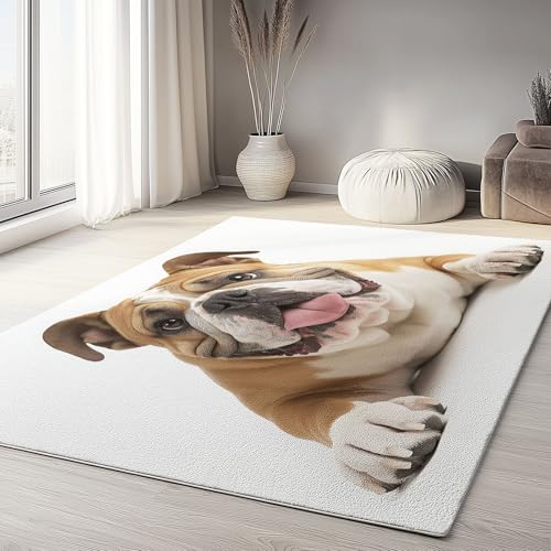 Generisch Teppich Wohnzimmer 80 x 150cm Rechteckig Britische Bulldogge Muster- Rutschfester Teppich Schlafzimmer, Esszimmer, Küche Weich Flauschiger Extra Weich Tepich Einfache Reinigung - Carpet Generisch Teppich Wohnzimmer 80 x 150cm Rechteckig Britische Bulldogge Muster- Rutschfester Teppich Schlafzimmer, Esszimmer, Küche Weich Flauschiger Extra Weich Tepich Einfache Reinigung - Carpet von Generisch
