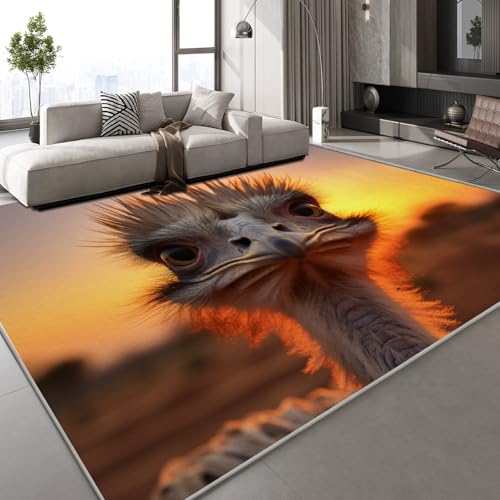 Generisch Teppich Wohnzimmer 80x120 cm 3D Druck Strauß Tier Muster Sonnenuntergang Natur Teppich Kaschmirimitat Anti Rutsch Leicht zu reinigen Waschbare Rückseite für Balkone Korridore Restaurants Generisch Teppich Wohnzimmer 80x120 cm 3D Druck Strauß Tier Muster Sonnenuntergang Natur Teppich Kaschmirimitat Anti Rutsch Leicht zu reinigen Waschbare Rückseite für Balkone Korridore Restaurants von Generisch