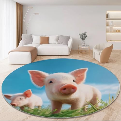 Generisch Teppiche Runde Waschbarer Niedlich Tiere: Schweine Gras Thema, Blau Muster Rutschfester Runder Teppich für Schlafzimmer Kinderzimmer Büro Korridor, Pflegeleicht Runde Teppich 90 cm von Generisch