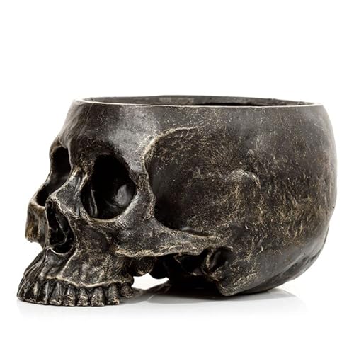 Generisch Totenkopf Skull Totenschädel Gothic Pflanztopf Blumentopf Deko Schale Generisch Totenkopf Skull Totenschädel Gothic Pflanztopf Blumentopf Deko Schale von Generisch