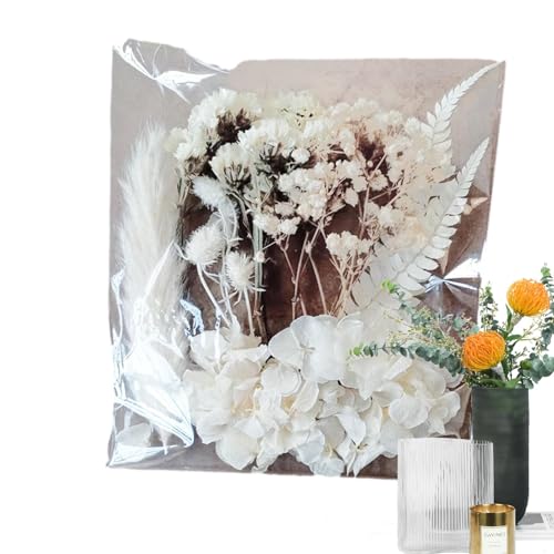 Generisch Trockenblumen, Trockenblumen für Vase | Blumenstrauß Bulk DIY Kit,Elegante und lebendige Trockenblumen für Fotorahmen, Harzformen, DIY-Kerzen und mehr, KI860AME5R6OF050UD von Generisch