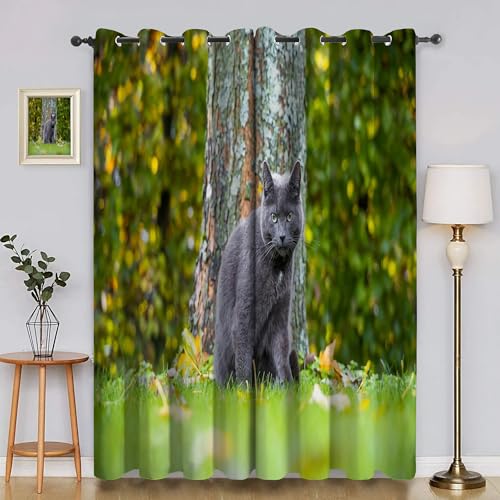 Generisch Verdunklungsvorhänge Kartellkatzen, Vorhang Blickdicht Tiere Vorhänge mit öSen 2er Set für Schlafzimmer Kinderzimmer, Deko Gardinen Wohnzimmer - B117 x H137 cm aA1274 von Generisch
