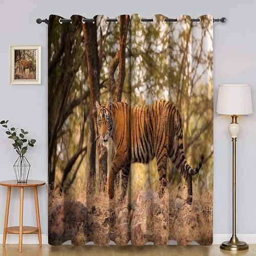 Generisch Verdunklungsvorhänge Wildtier, Vorhang Blickdicht Tiger Vorhänge mit öSen 2er Set für Schlafzimmer Kinderzimmer, Deko Gardinen Wohnzimmer - B140 x H260 cm aA568 Generisch Verdunklungsvorhänge Wildtier, Vorhang Blickdicht Tiger Vorhänge mit öSen 2er Set für Schlafzimmer Kinderzimmer, Deko Gardinen Wohnzimmer - B140 x H260 cm aA568 von Generisch