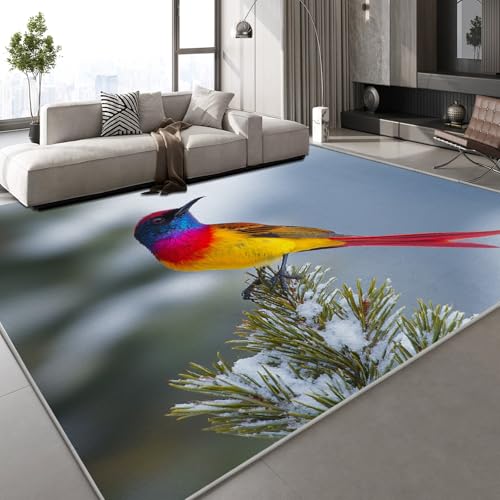 Generisch Vögelchen Teppich Kinderteppich Modern 3D Tiere Süß Teppich Kinderzimmer Kurzflor Teppiche rutschfeste Spielteppiche für Schlafzimmer Wohnzimmer Zimmer 160x230 cm von Generisch
