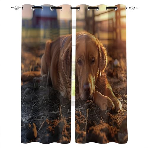 Generisch Vorhänge Blickdicht B280xH175 cm 3D Farm Hund Tier Jagdhund Muster Hitzeschutz Gardinen Verdunkelung Vorhang mit Ösen Polyester Schiebevorhänge für Schlafzimmer Wohnzimmer Kinderzimmer Deko von Generisch