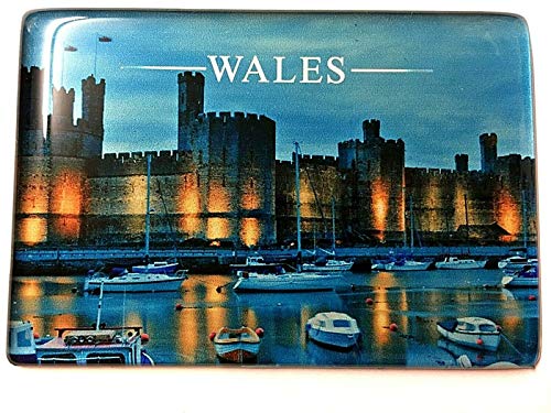 Generisch Wales, Kühlschrankmagnet,Fridge Magnet, 040104 Souvenir, Reiseandenken von Generisch