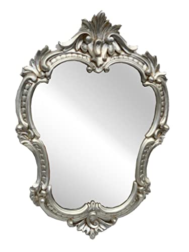 Generisch Wandspiegel Antik Oval Gold Weiß Silber Schwarz Retro Spiegel 50X35 Badspiegel Prunkspiegel Wohnzimmerspiegel C 444 (Silber Antik) von Generisch