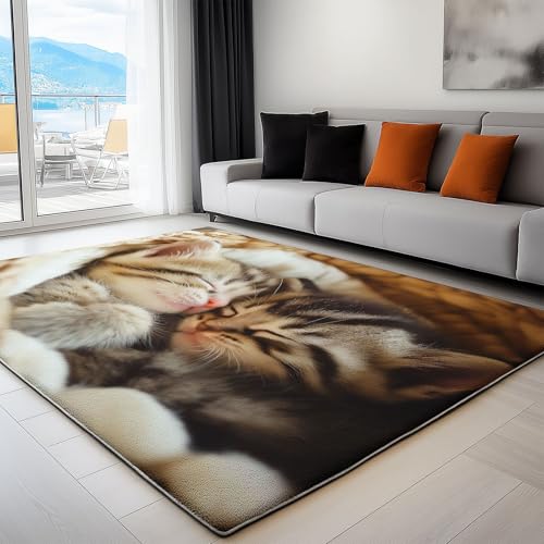 Generisch Warme Farben Teppich Tier Nahaufnahme Korb Katze Wohnzimmer Teppich 160 x 230 cm rutschfest Flanell Teppiche, für Flur Schlafzimmer Küche Korridor Wohnkultur Fußmatte von Generisch
