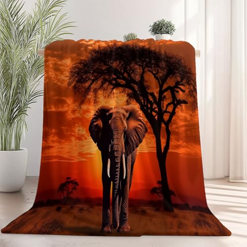 Generisch Weiche Kuscheldecke 220 x 240 cm fürs Kinderbett, Tier Elefant Wiese Thema Kuscheldecke Leichter Plüschstoff für Sofa Couch Schlafzimmer Wohnzi - Orange Farbe Generisch Weiche Kuscheldecke 220 x 240 cm fürs Kinderbett, Tier Elefant Wiese Thema Kuscheldecke Leichter Plüschstoff für Sofa Couch Schlafzimmer Wohnzi - Orange Farbe von Generisch